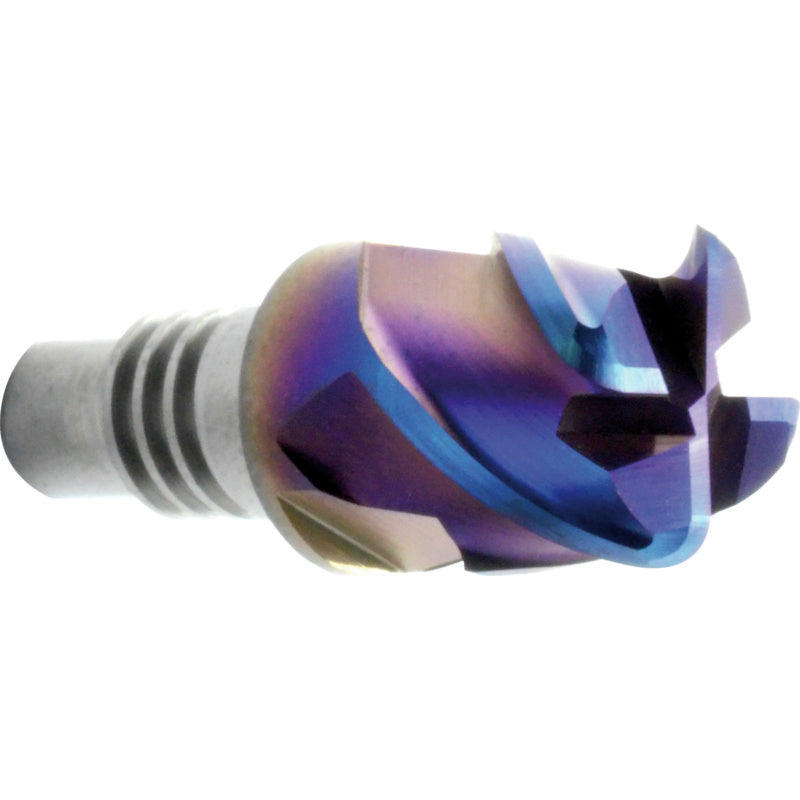 Vyměnitelné torusové hlavy