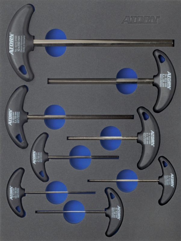 Vložka z tvrdé pěny s nářadím, sada šestihranných T-šroubováků