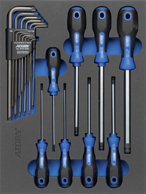 Vložka z tvrdé pěny s nářadím, sada šestihranných šroubováků